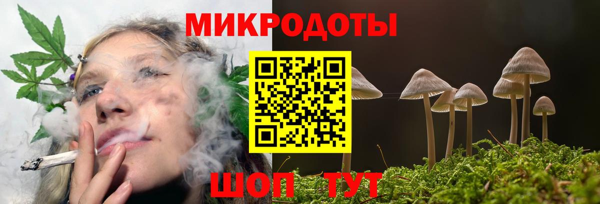 Галлюциногенные грибы GOLDEN TEACHER  Вход с VPN  Красногорск 